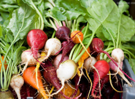 天然甜菜碱和合成甜菜碱的区别?